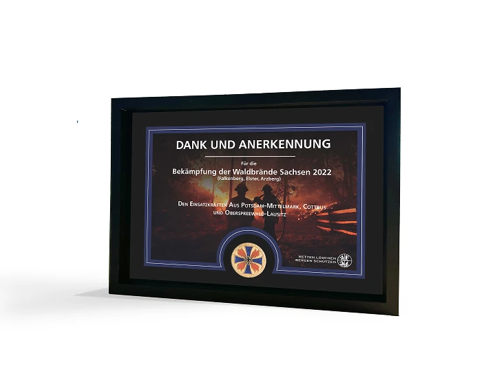 Medaillen mit Urkunde Image