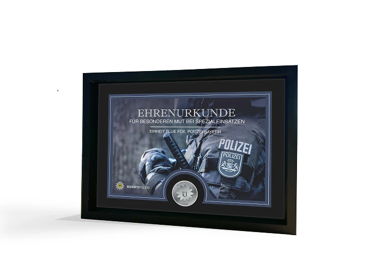 Medaillen mit Urkunde Image