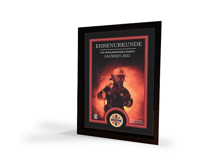 Medaillen mit Urkunde Image