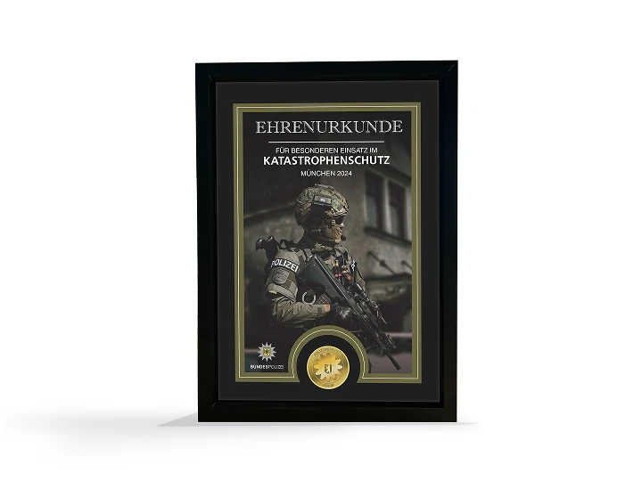 Medaillen mit Urkunde Image