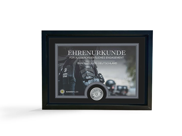 Medaillen mit Urkunde Image