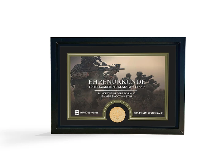 Medaillen mit Urkunde Image